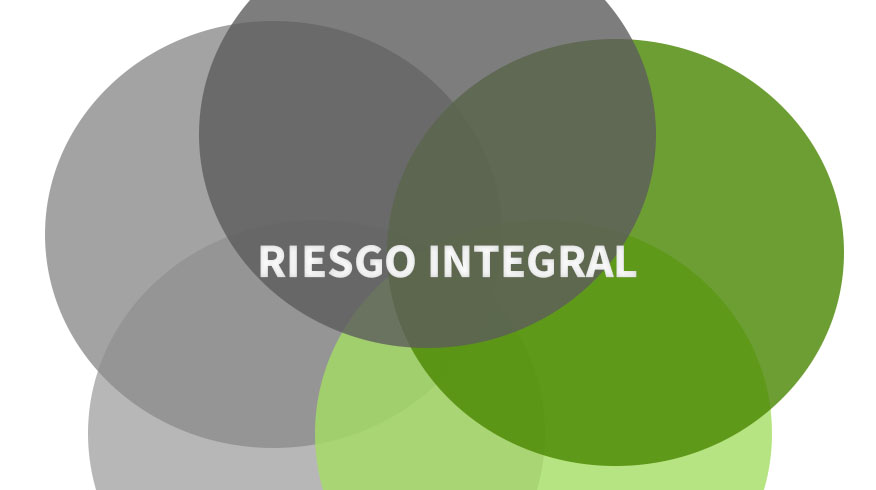 Riesgo Integral: Lineamientos de reglas del BCRA